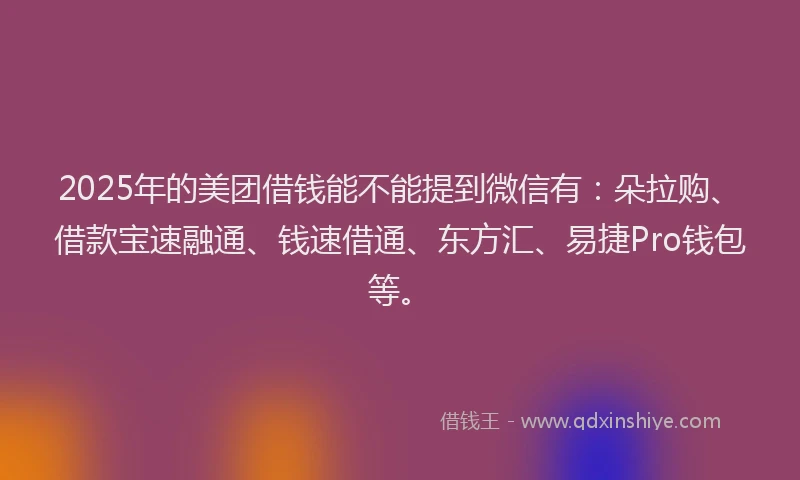 2025年的美团借钱能不能提到微信有：朵拉购、借款宝速融通、钱速借通、东方汇、易捷Pro钱包等。