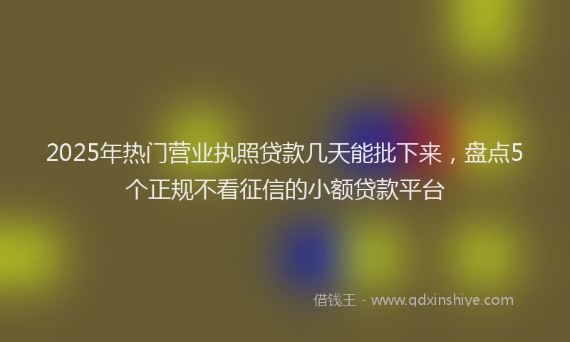 2025年热门营业执照贷款几天能批下来，盘点5个正规不看征信的小额贷款平台