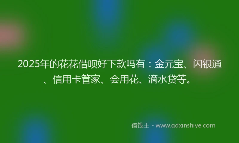 2025年的花花借呗好下款吗有：金元宝、闪银通、信用卡管家、会用花、滴水贷等。