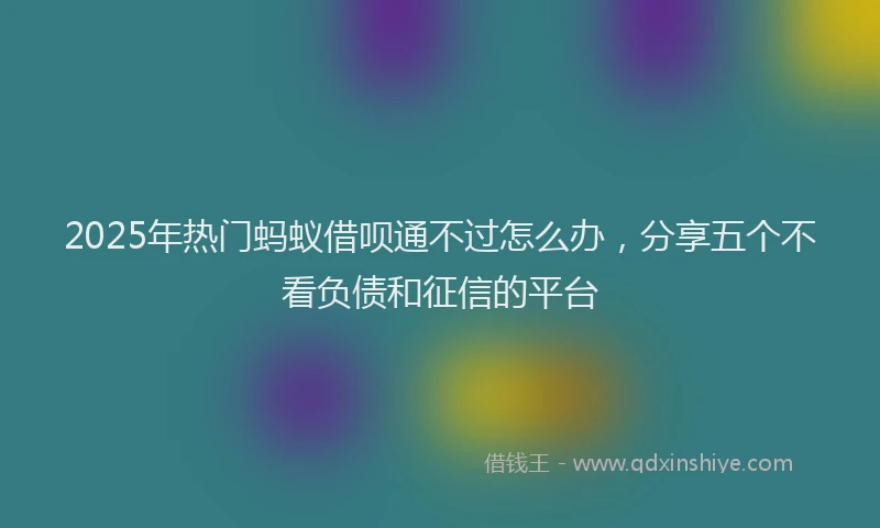 2025年热门蚂蚁借呗通不过怎么办，分享五个不看负债和征信的平台