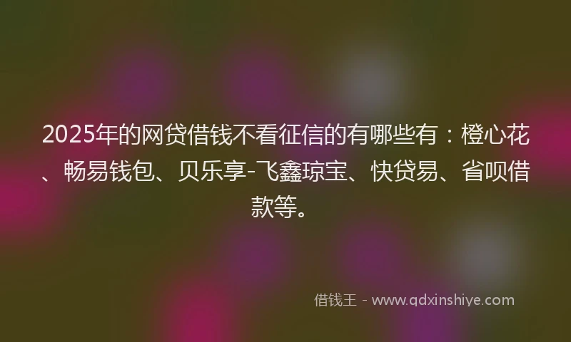 2025年的网贷借钱不看征信的有哪些有：橙心花、畅易钱包、贝乐享-飞鑫琼宝、快贷易、省呗借款等。