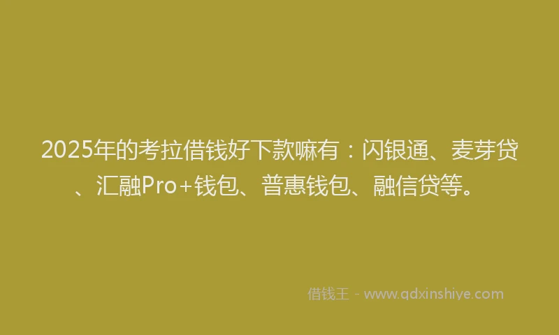 2025年的考拉借钱好下款嘛有：闪银通、麦芽贷、汇融Pro+钱包、普惠钱包、融信贷等。