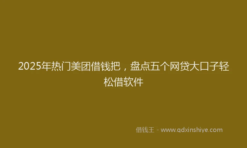 2025年热门美团借钱把，盘点五个网贷大口子轻松借软件