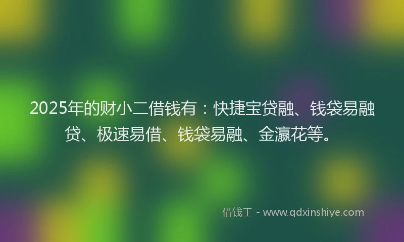2025年的财小二借钱有：快捷宝贷融、钱袋易融贷、极速易借、钱袋易融、金瀛花等。