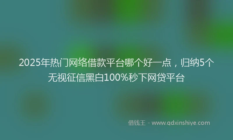 2025年热门网络借款平台哪个好一点，归纳5个无视征信黑白100%秒下网贷平台
