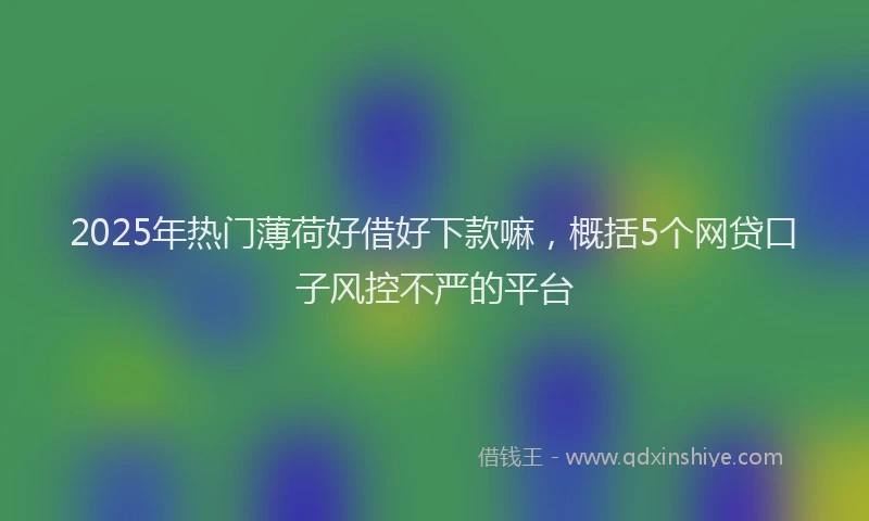 2025年热门薄荷好借好下款嘛，概括5个网贷口子风控不严的平台