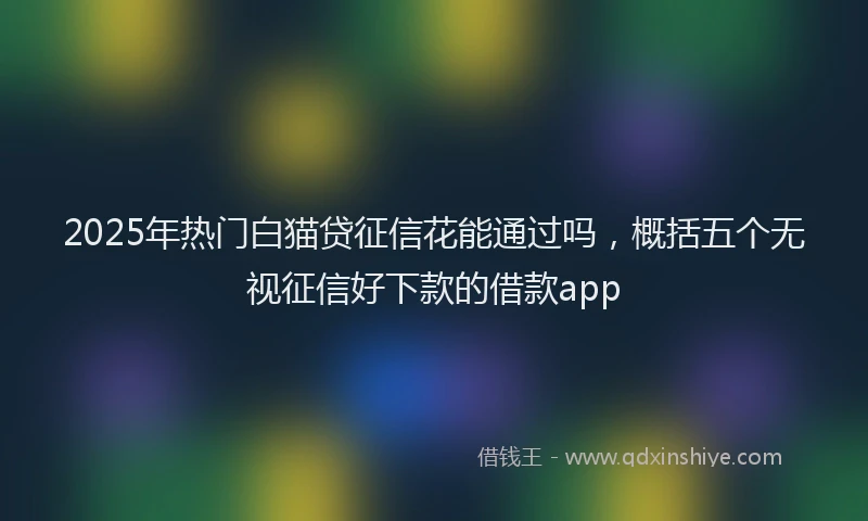 2025年热门白猫贷征信花能通过吗，概括五个无视征信好下款的借款app
