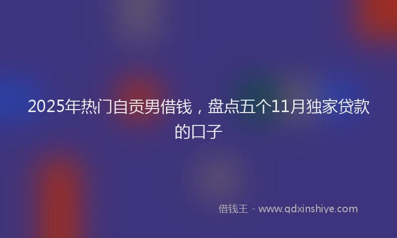 2025年热门自贡男借钱，盘点五个11月独家贷款的口子