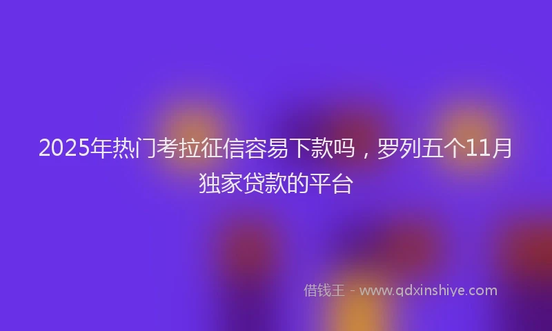 2025年热门考拉征信容易下款吗，罗列五个11月独家贷款的平台