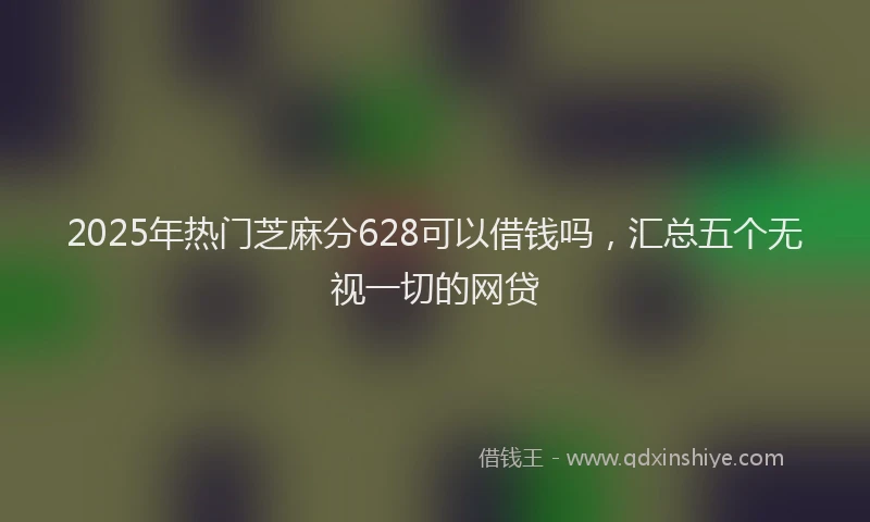 2025年热门芝麻分628可以借钱吗，汇总五个无视一切的网贷
