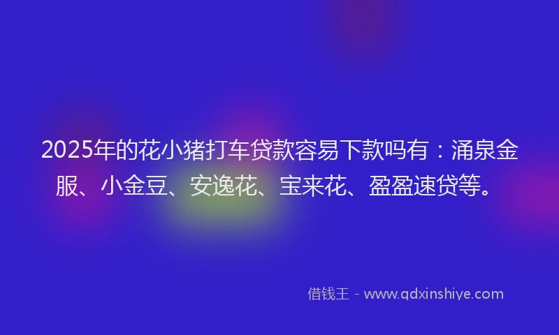 2025年的花小猪打车贷款容易下款吗有：涌泉金服、小金豆、安逸花、宝来花、盈盈速贷等。