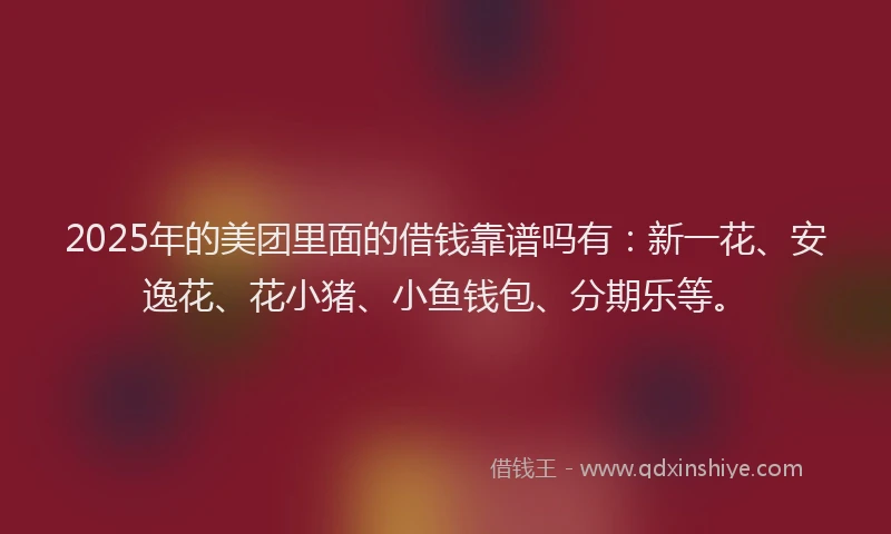 2025年的美团里面的借钱靠谱吗有：新一花、安逸花、花小猪、小鱼钱包、分期乐等。