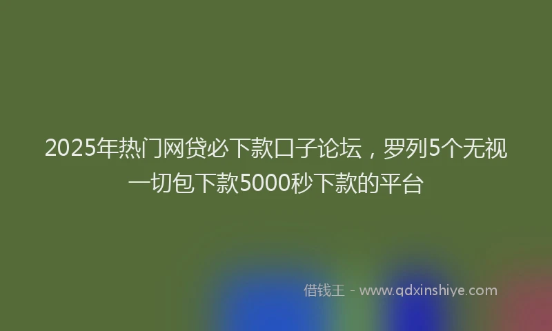 2025年热门网贷必下款口子论坛，罗列5个无视一切包下款5000秒下款的平台