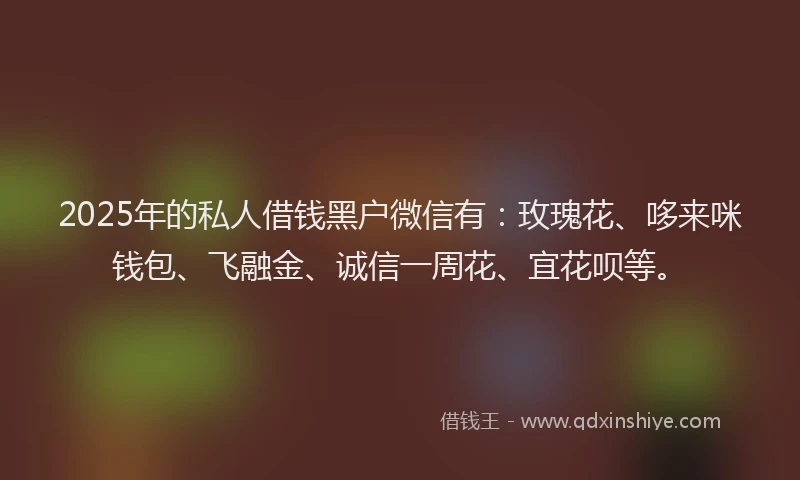 2025年的私人借钱黑户微信有：玫瑰花、哆来咪钱包、飞融金、诚信一周花、宜花呗等。