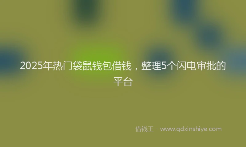 2025年热门袋鼠钱包借钱，整理5个闪电审批的平台