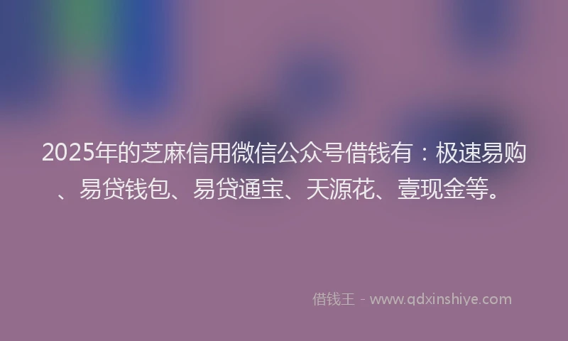 2025年的芝麻信用微信公众号借钱有：极速易购、易贷钱包、易贷通宝、天源花、壹现金等。