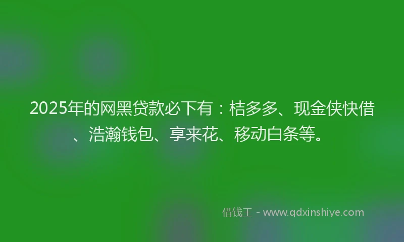 2025年的网黑贷款必下有：桔多多、现金侠快借、浩瀚钱包、享来花、移动白条等。