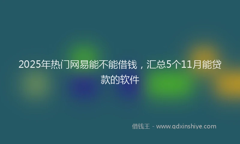 2025年热门网易能不能借钱，汇总5个11月能贷款的软件