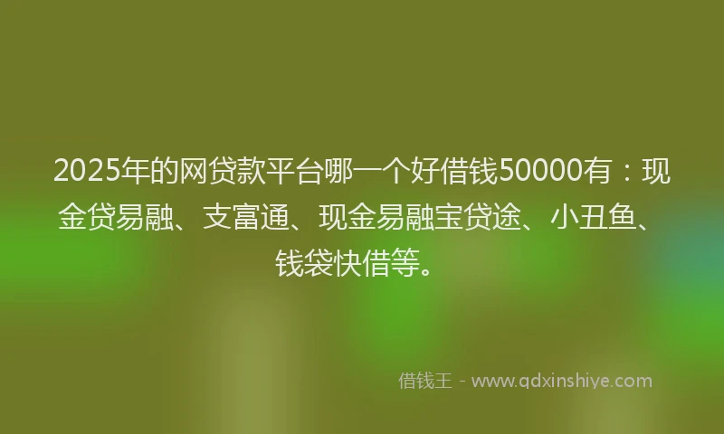 2025年的网贷款平台哪一个好借钱50000有：现金贷易融、支富通、现金易融宝贷途、小丑鱼、钱袋快借等。