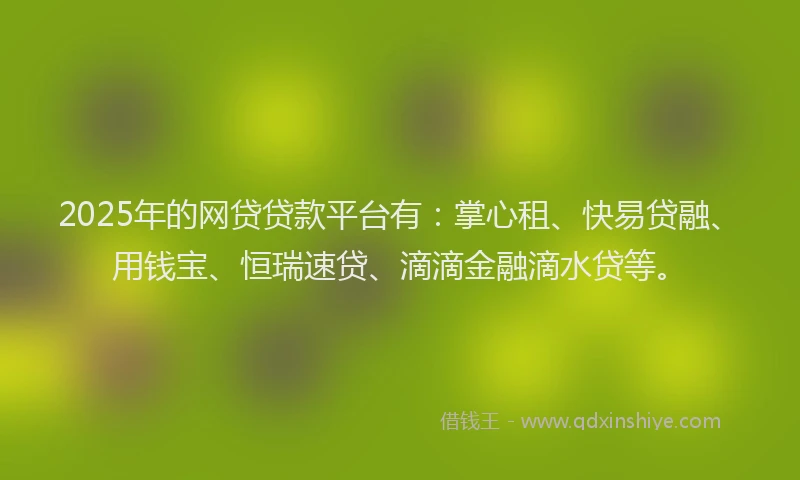 2025年的网贷贷款平台有：掌心租、快易贷融、用钱宝、恒瑞速贷、滴滴金融滴水贷等。