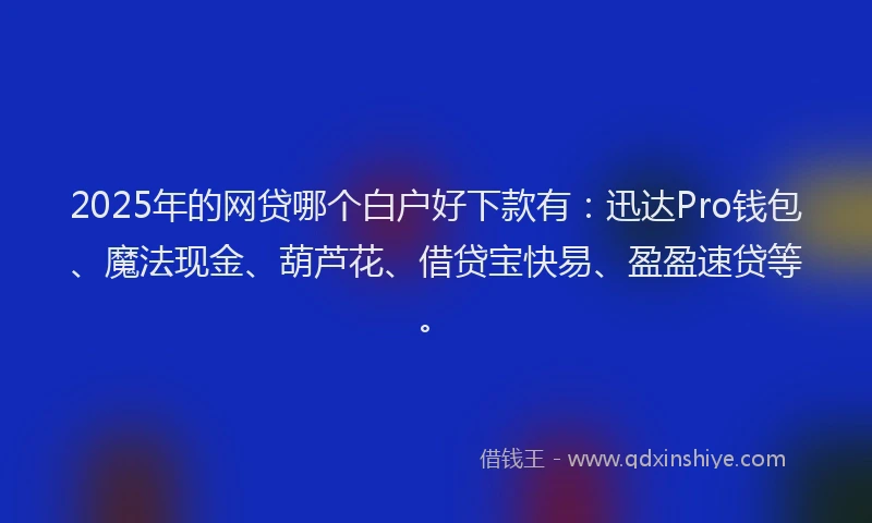 2025年的网贷哪个白户好下款有：迅达Pro钱包、魔法现金、葫芦花、借贷宝快易、盈盈速贷等。