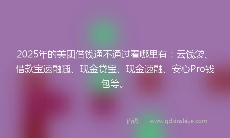 2025年的美团借钱通不通过看哪里有：云钱袋、借款宝速融通、现金贷宝、现金速融、安心Pro钱包等。