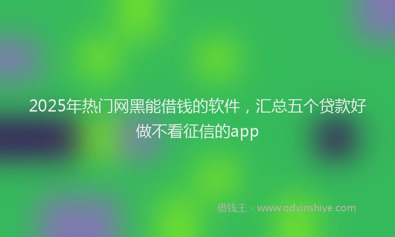 2025年热门网黑能借钱的软件，汇总五个贷款好做不看征信的app