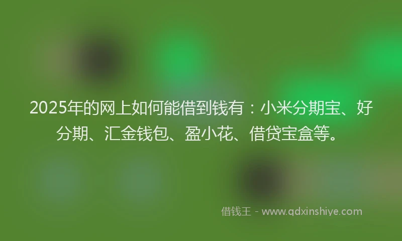 2025年的网上如何能借到钱有：小米分期宝、好分期、汇金钱包、盈小花、借贷宝盒等。