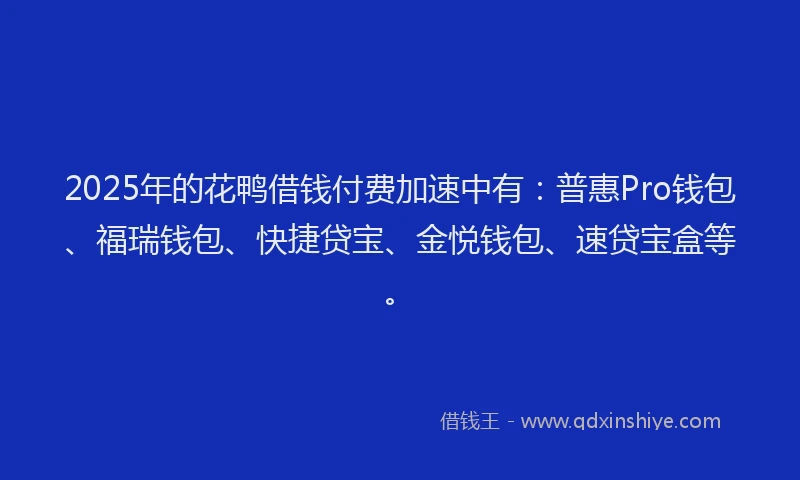 2025年的花鸭借钱付费加速中有：普惠Pro钱包、福瑞钱包、快捷贷宝、金悦钱包、速贷宝盒等。