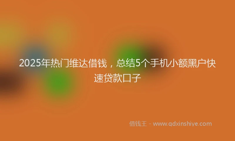 2025年热门维达借钱，总结5个手机小额黑户快速贷款口子