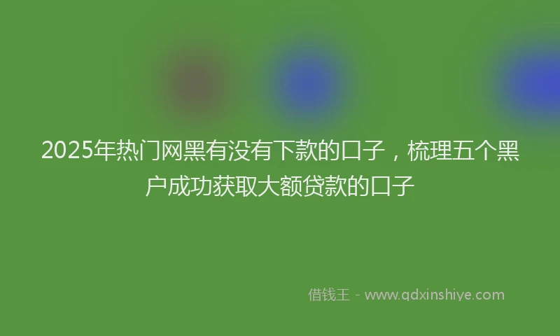 2025年热门网黑有没有下款的口子，梳理五个黑户成功获取大额贷款的口子