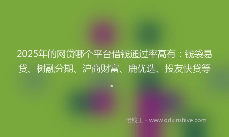 2025年的网贷哪个平台借钱通过率高有：钱袋易贷、树融分期、沪商财富、鹿优选、投友快贷等。