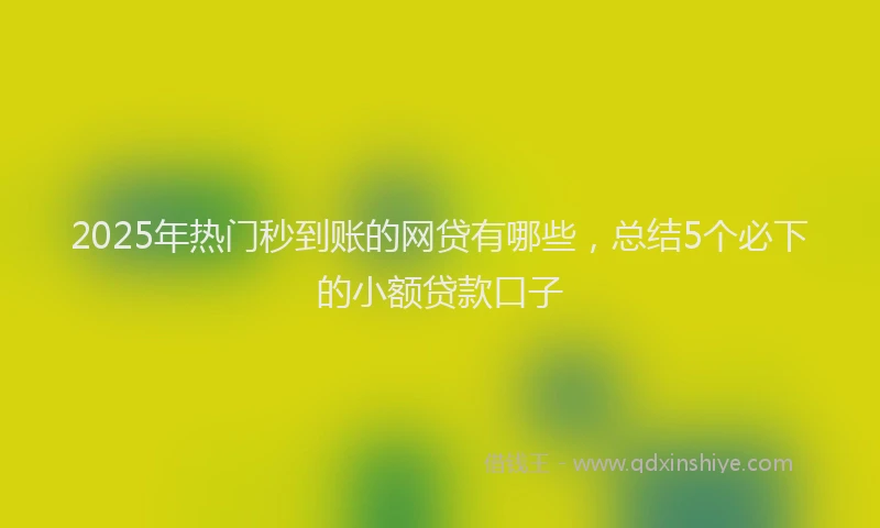 2025年热门秒到账的网贷有哪些，总结5个必下的小额贷款口子
