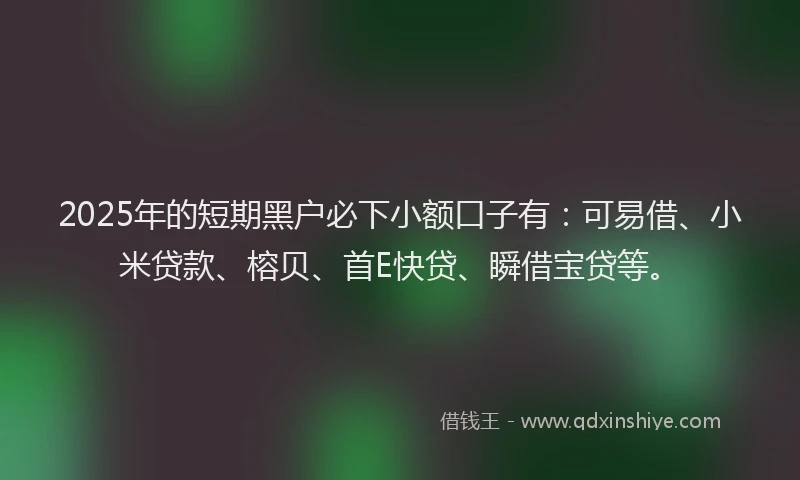 2025年的短期黑户必下小额口子有：可易借、小米贷款、榕贝、首E快贷、瞬借宝贷等。