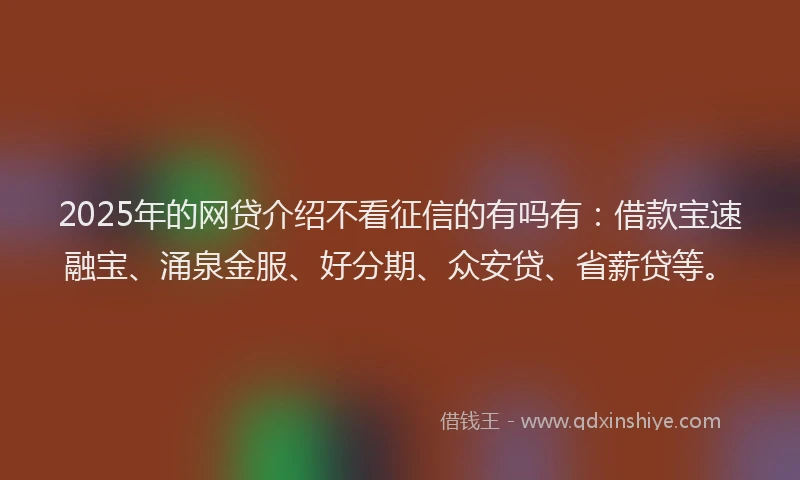 2025年的网贷介绍不看征信的有吗有：借款宝速融宝、涌泉金服、好分期、众安贷、省薪贷等。