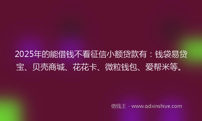 2025年的能借钱不看征信小额贷款有：钱袋易贷宝、贝壳商城、花花卡、微粒钱包、爱帮米等。