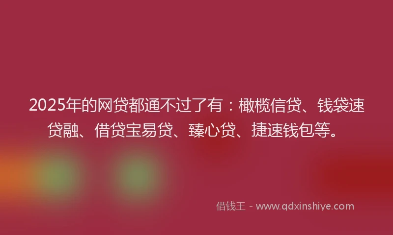 2025年的网贷都通不过了有：橄榄信贷、钱袋速贷融、借贷宝易贷、臻心贷、捷速钱包等。