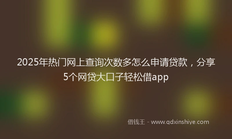 2025年热门网上查询次数多怎么申请贷款，分享5个网贷大口子轻松借app