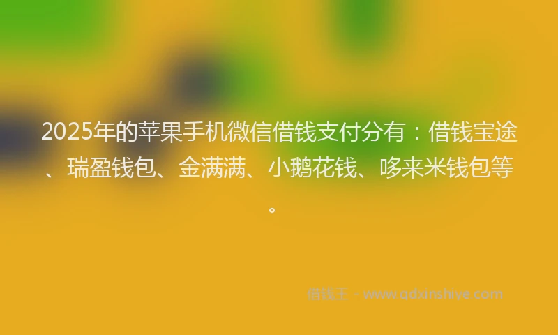 2025年的苹果手机微信借钱支付分有：借钱宝途、瑞盈钱包、金满满、小鹅花钱、哆来米钱包等。