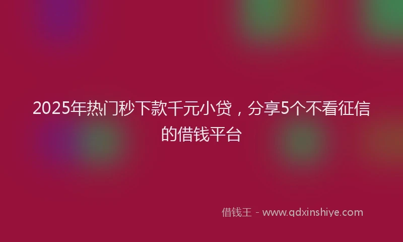2025年热门秒下款千元小贷，分享5个不看征信的借钱平台