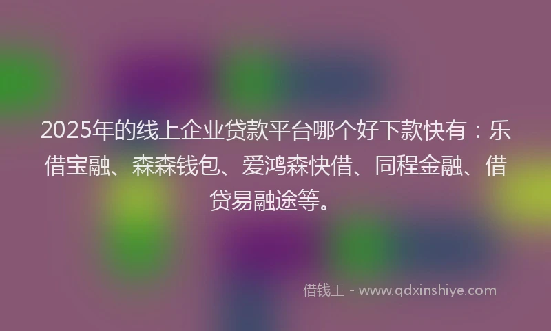 2025年的线上企业贷款平台哪个好下款快有：乐借宝融、森森钱包、爱鸿森快借、同程金融、借贷易融途等。