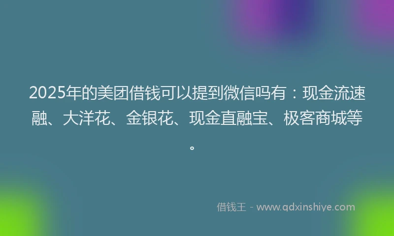 2025年的美团借钱可以提到微信吗有：现金流速融、大洋花、金银花、现金直融宝、极客商城等。