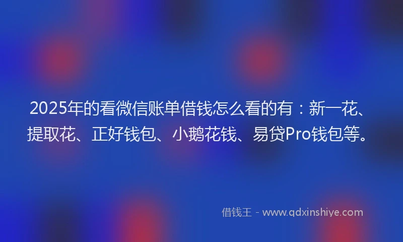 2025年的看微信账单借钱怎么看的有：新一花、提取花、正好钱包、小鹅花钱、易贷Pro钱包等。