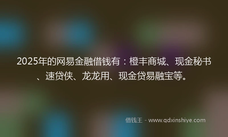 2025年的网易金融借钱有：橙丰商城、现金秘书、速贷侠、龙龙用、现金贷易融宝等。