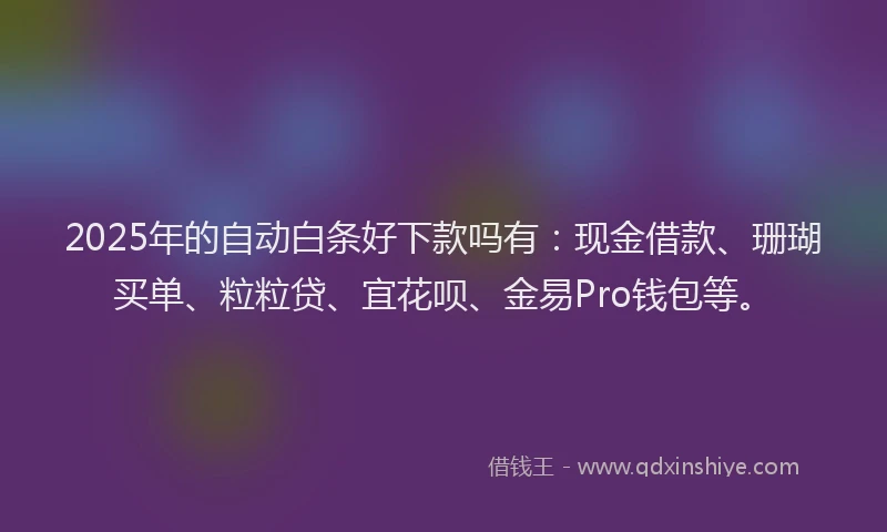 2025年的自动白条好下款吗有：现金借款、珊瑚买单、粒粒贷、宜花呗、金易Pro钱包等。