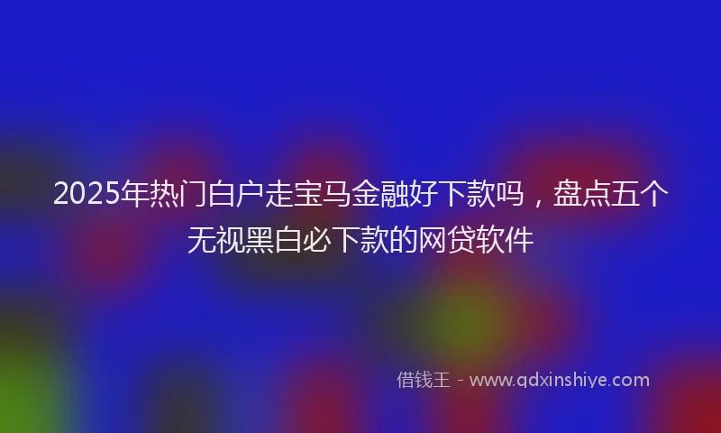 2025年热门白户走宝马金融好下款吗，盘点五个无视黑白必下款的网贷软件