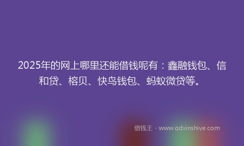 2025年的网上哪里还能借钱呢有：鑫融钱包、信和贷、榕贝、快鸟钱包、蚂蚁微贷等。