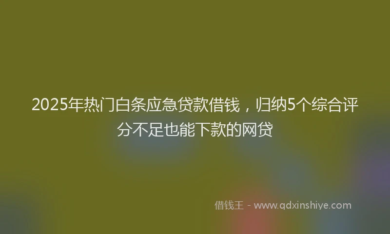 2025年热门白条应急贷款借钱，归纳5个综合评分不足也能下款的网贷
