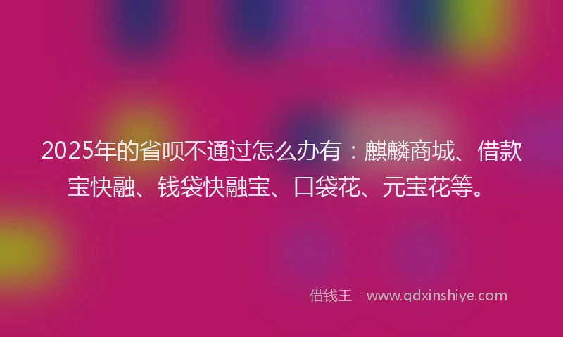 2025年的省呗不通过怎么办有：麒麟商城、借款宝快融、钱袋快融宝、口袋花、元宝花等。