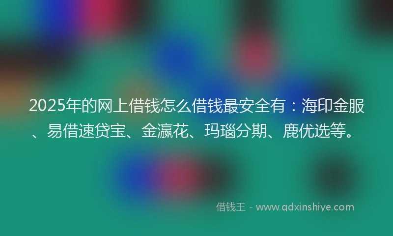 2025年的网上借钱怎么借钱最安全有：海印金服、易借速贷宝、金瀛花、玛瑙分期、鹿优选等。